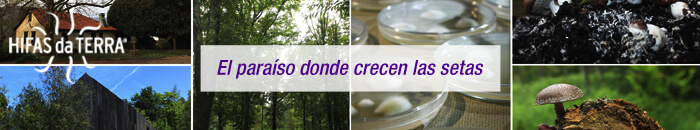 Cat&aacute;logo de Productos Hifas da Terra