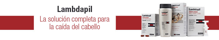 Cat&aacute;logo de Productos Lambdapil